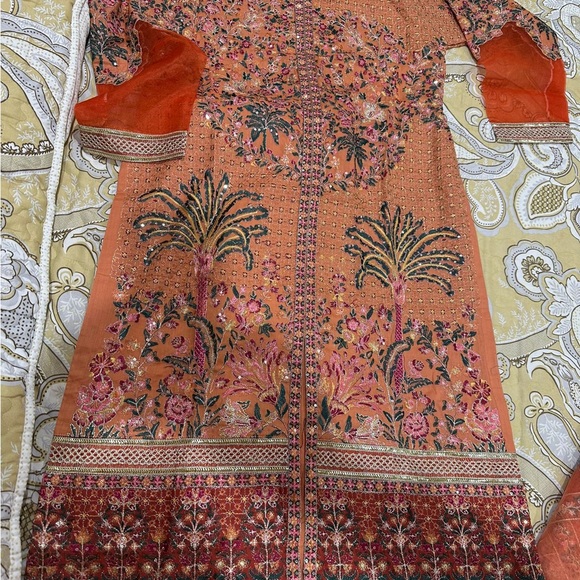 Pakistani dresses - Picture 11 of 11
